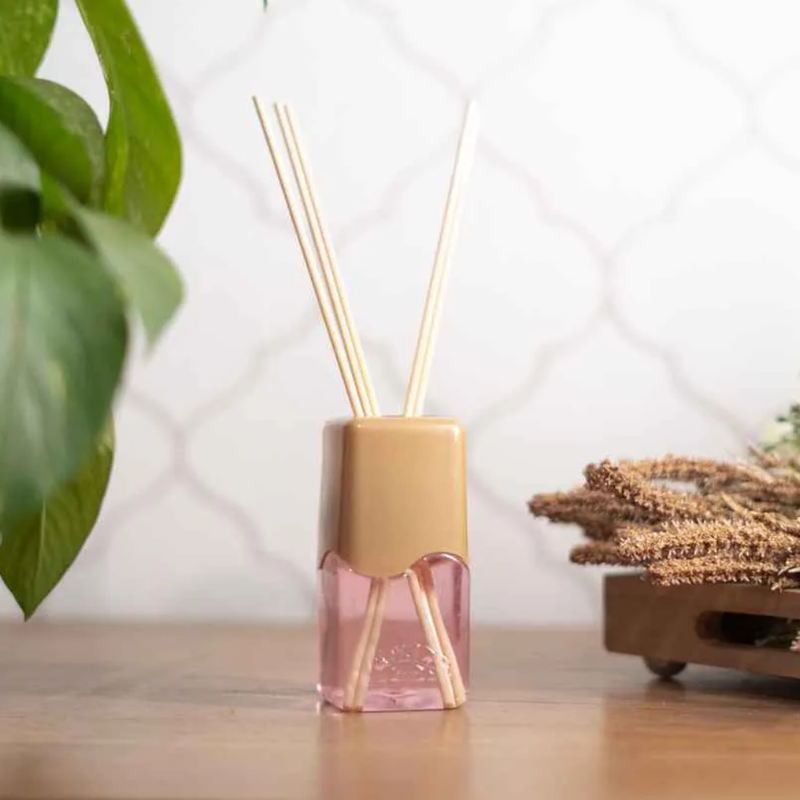 7897744505617 3 1220